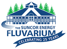 fluvarium