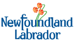 nllogo